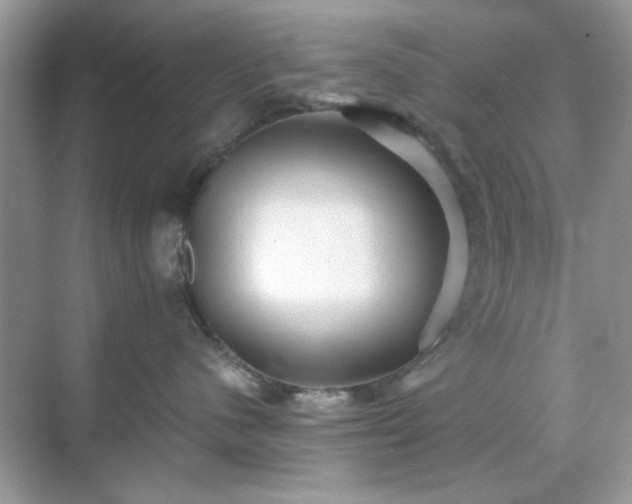 X0000071810480200607072122