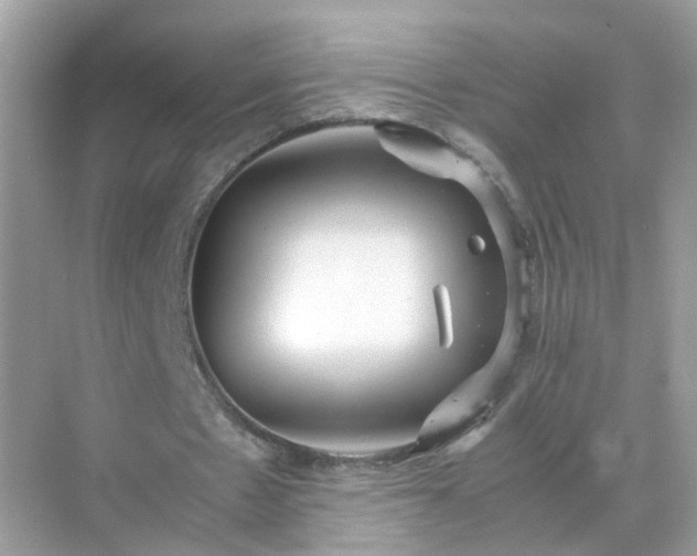 X0000071810481200607072121