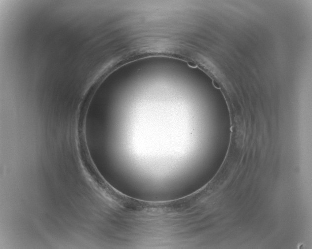 X0000071810482200607072121