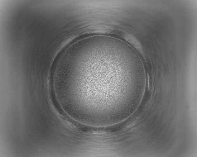 X0000071810483200607072121