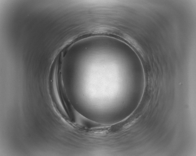 X0000071810485200607072121