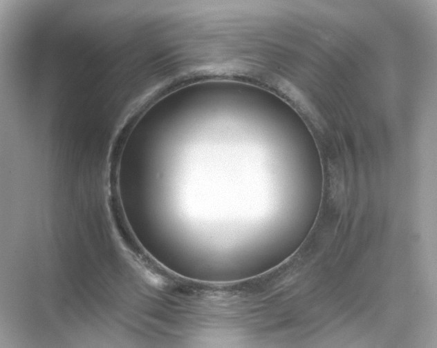 X0000071810486200607072121