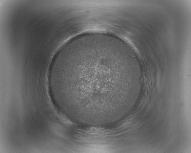 X0000071810487200607072121