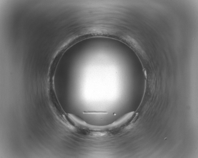 X0000071810488200607072121