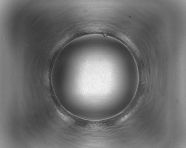 X0000071810489200607072121