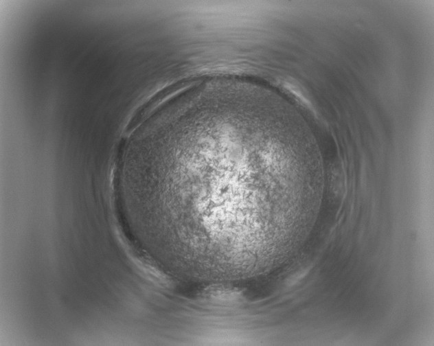 X0000071810491200607072121