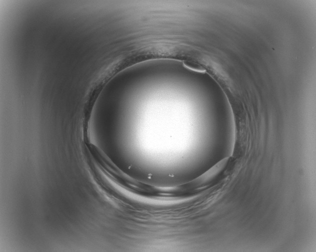 X0000071810493200607072121