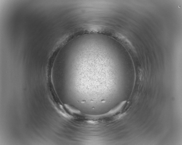 X0000071810496200607072121