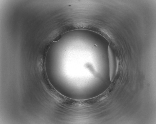 X0000071810498200607072121