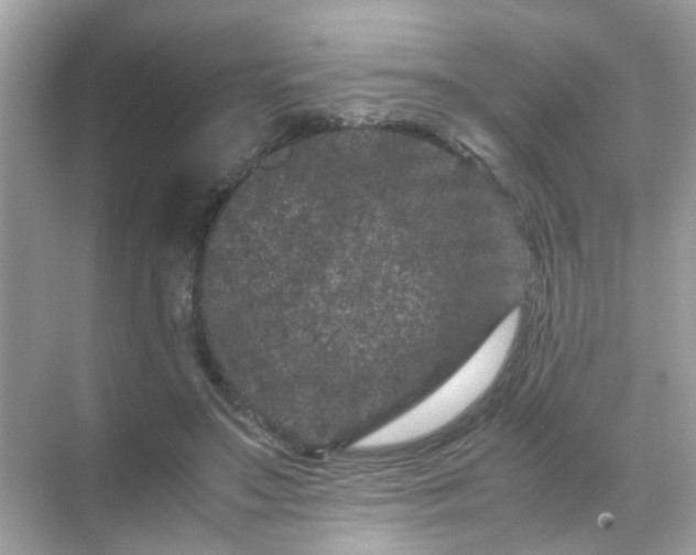 X0000071810499200607072121