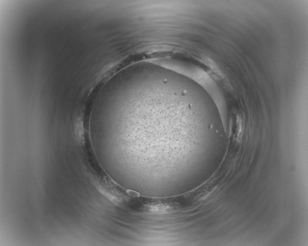 X0000071810500200607072121