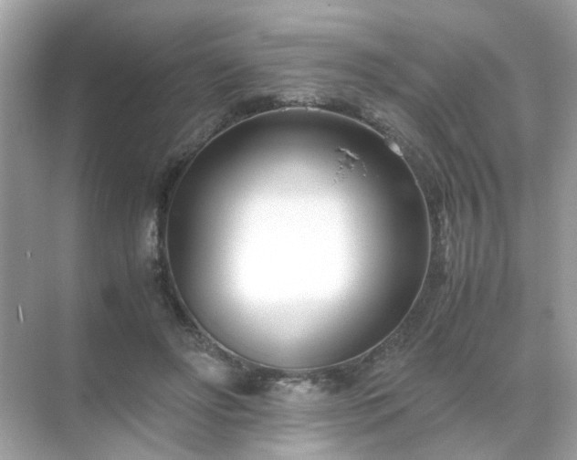 X0000071810502200607072121