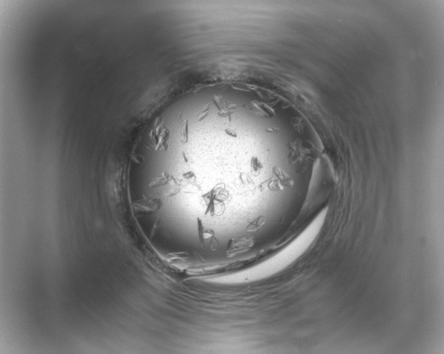 X0000071810503200607072121