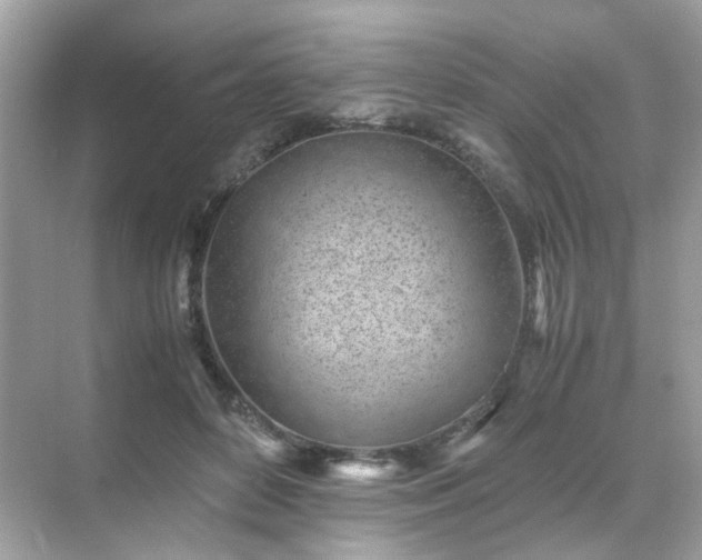 X0000071810504200607072121