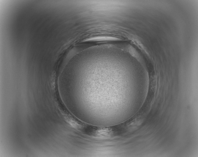 X0000071810505200607072121