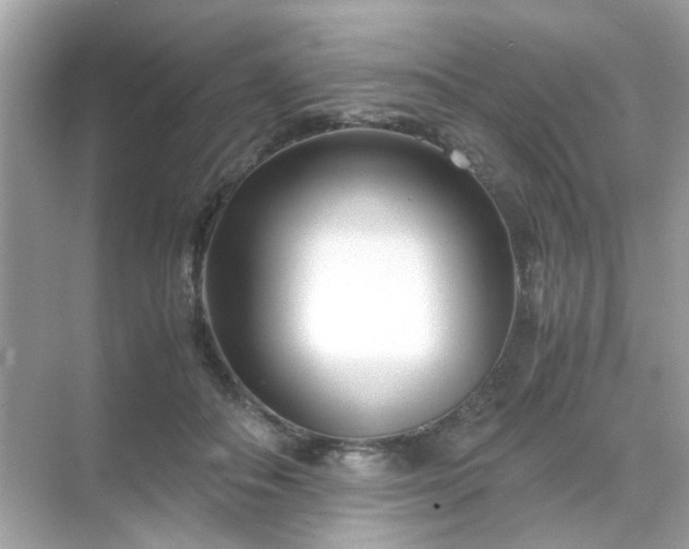 X0000071810506200607072121