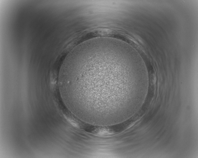 X0000071810507200607072121