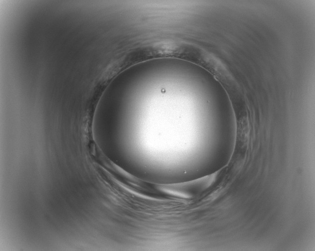 X0000071810509200607072121