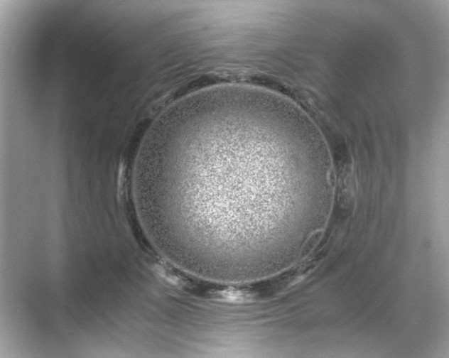 X0000071810511200607072121