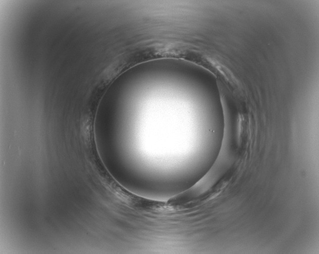 X0000071810513200607072121