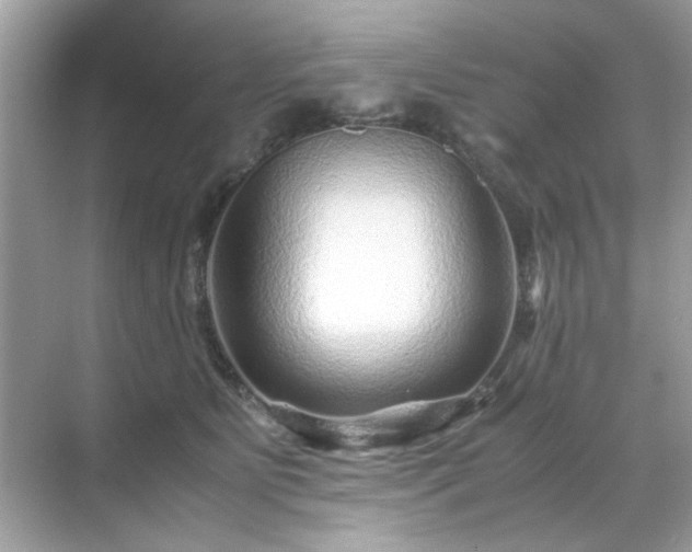 X0000071810515200607072121