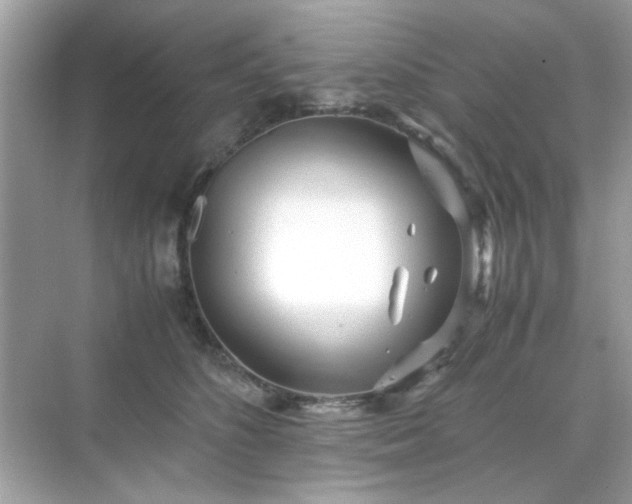 X0000071810516200607072121