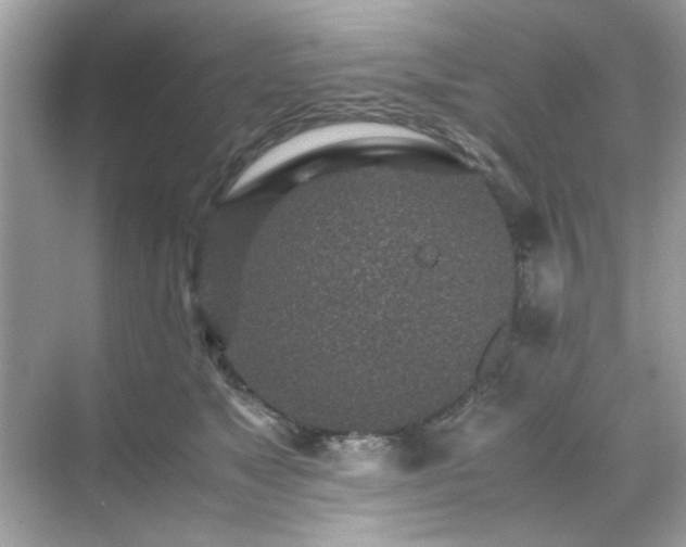 X0000071810517200607072121