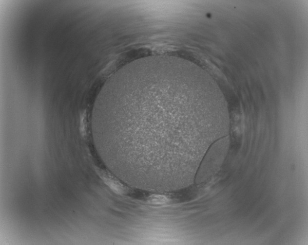 X0000071810519200607072121