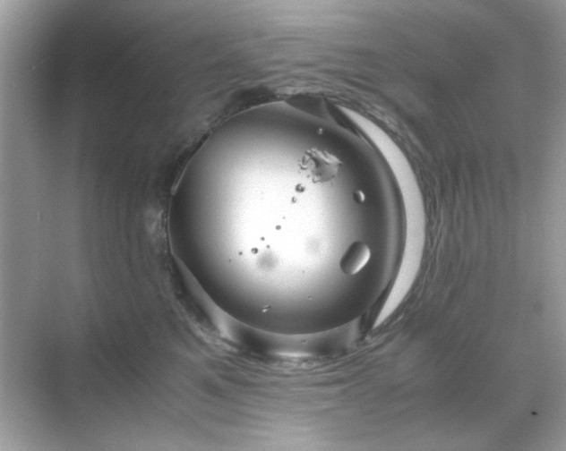 X0000071810521200607072121