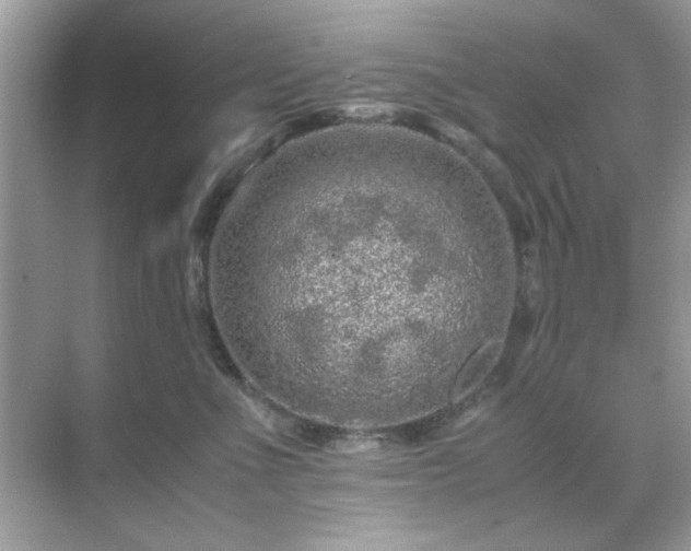 X0000071810523200607072121