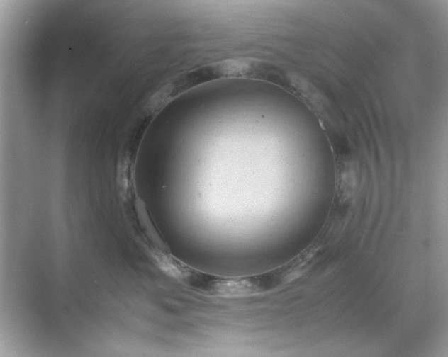 X0000071810525200607072120