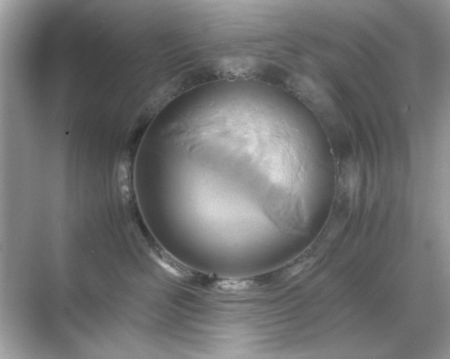 X0000071810526200607072120