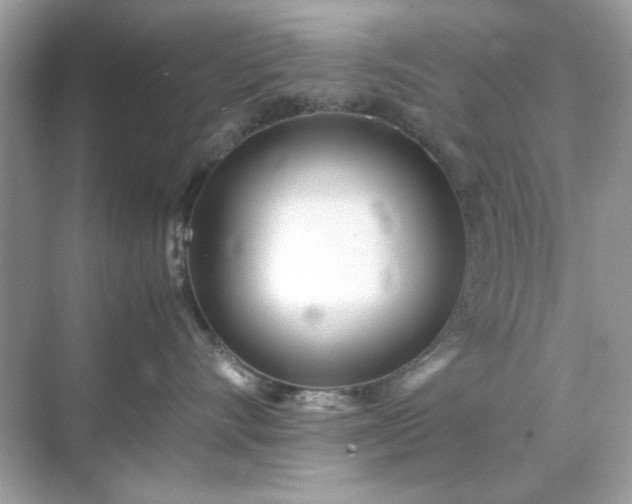 X0000071810528200607072120