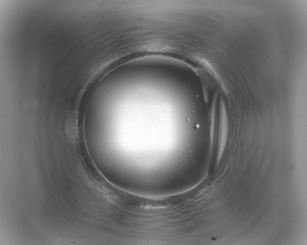 X0000071810531200607072120