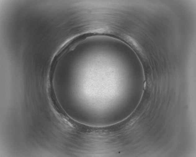 X0000071810532200607072120