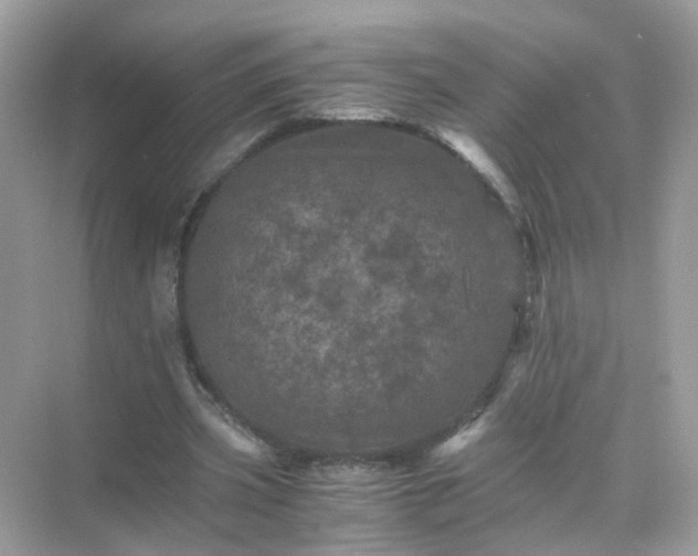 X0000071810533200607072120