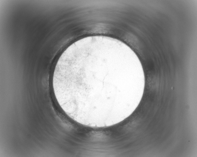 X0000071810534200607072120