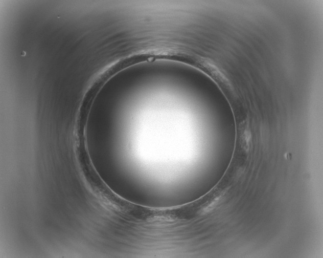 X0000071810536200607072120