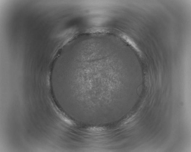 X0000071810537200607072120