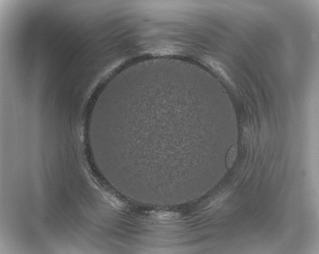 X0000071810539200607072120