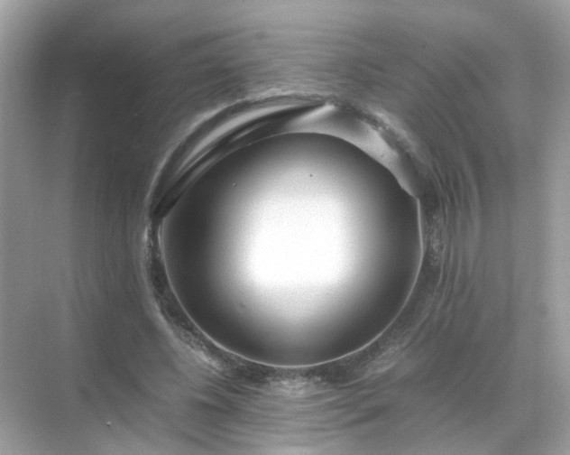 X0000071810540200607072120