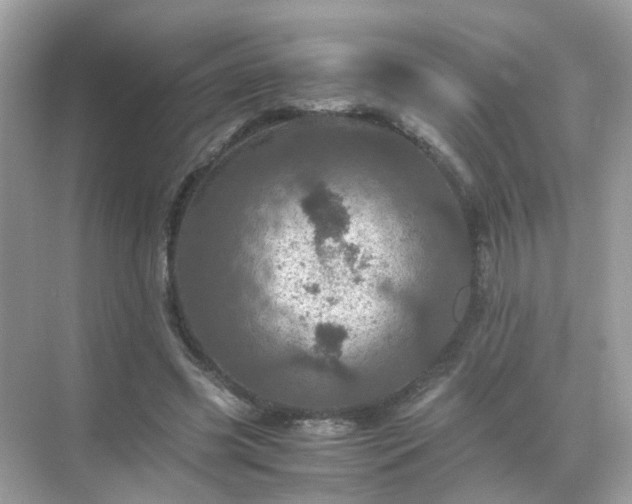 X0000071810541200607072120