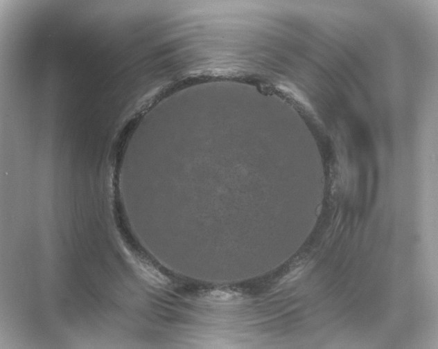 X0000071810542200607072120