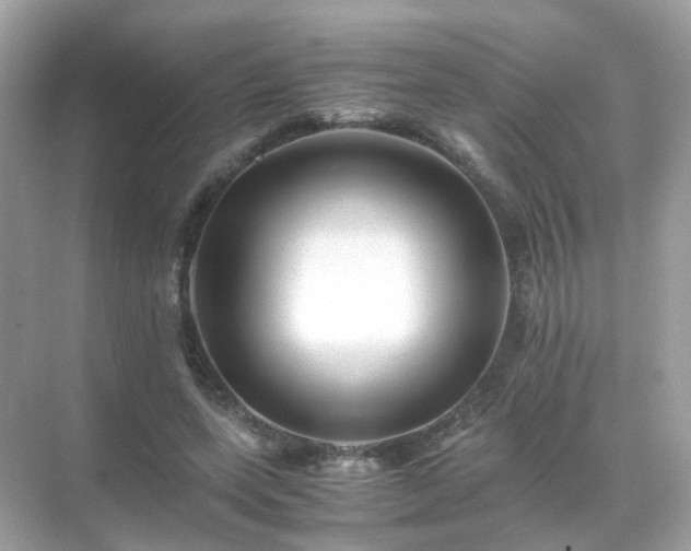 X0000071810543200607072120