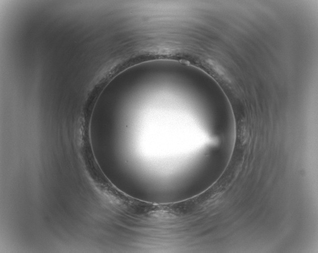 X0000071810544200607072120