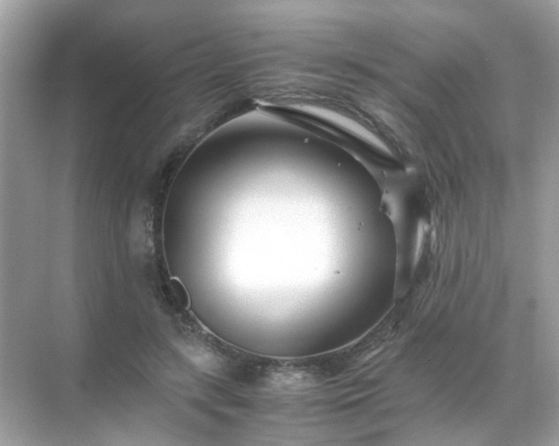 X0000071810547200607072120