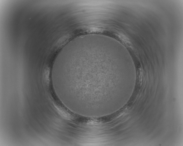 X0000071810550200607072120