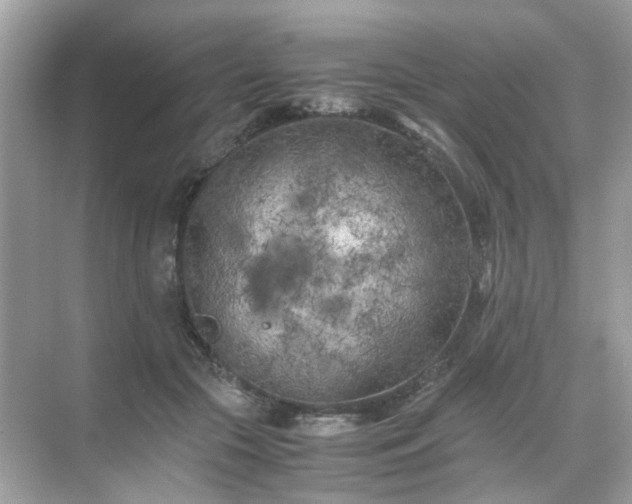 X0000071810553200607072120