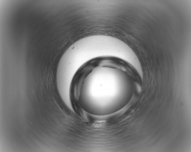 X0000071810560200607072120