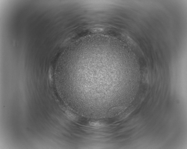 X0000071810561200607072120